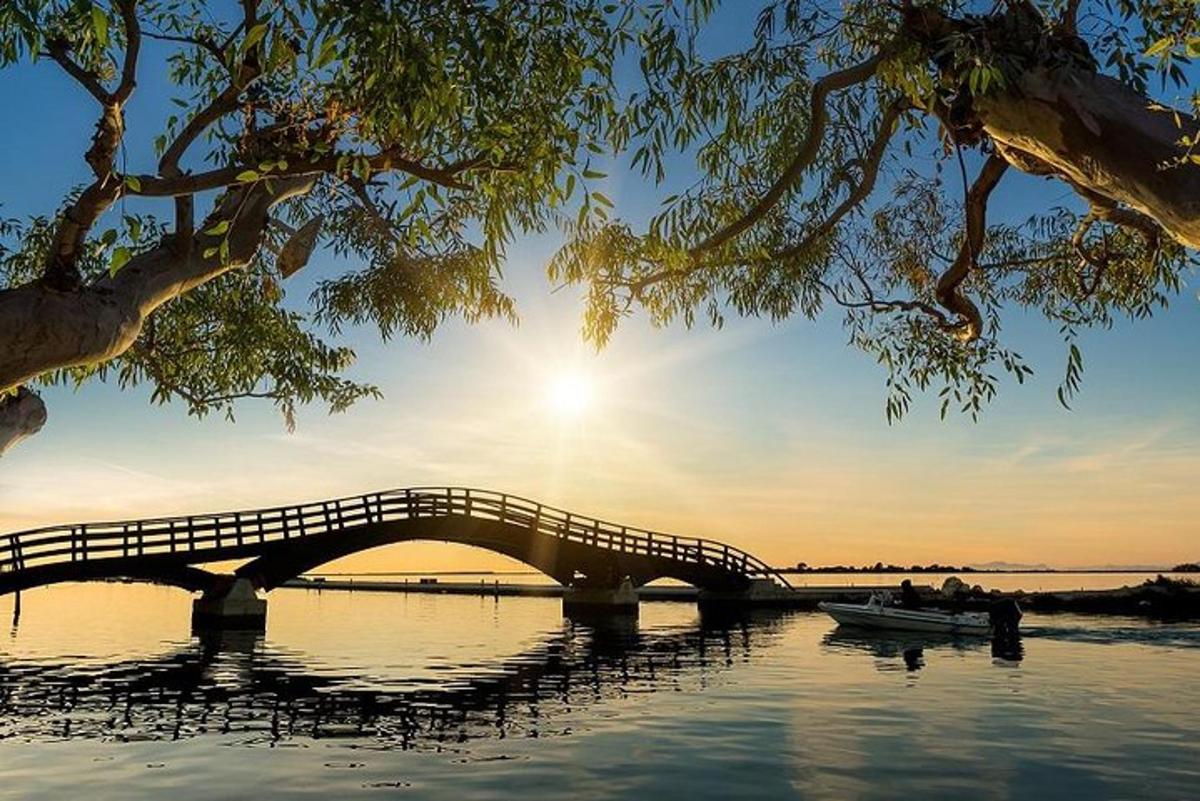 a bridge over a body of water with a boat