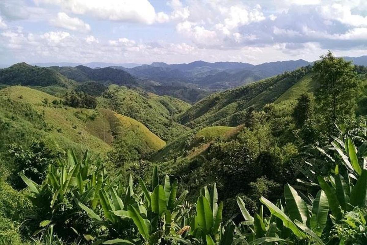 uma vista de uma encosta verdejante com montanhas
