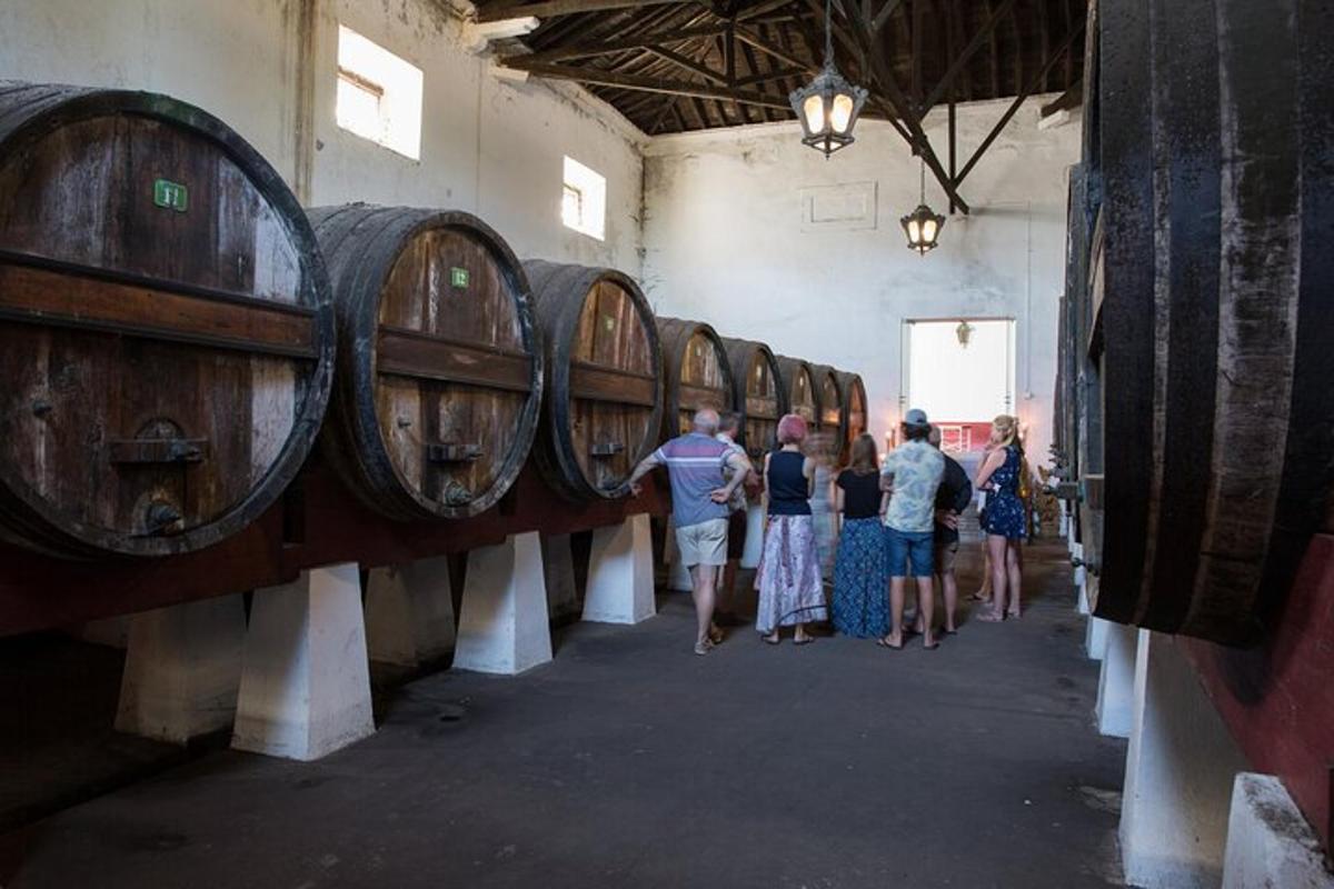 un gruppo di persone che camminano tra una fila di botti di vino