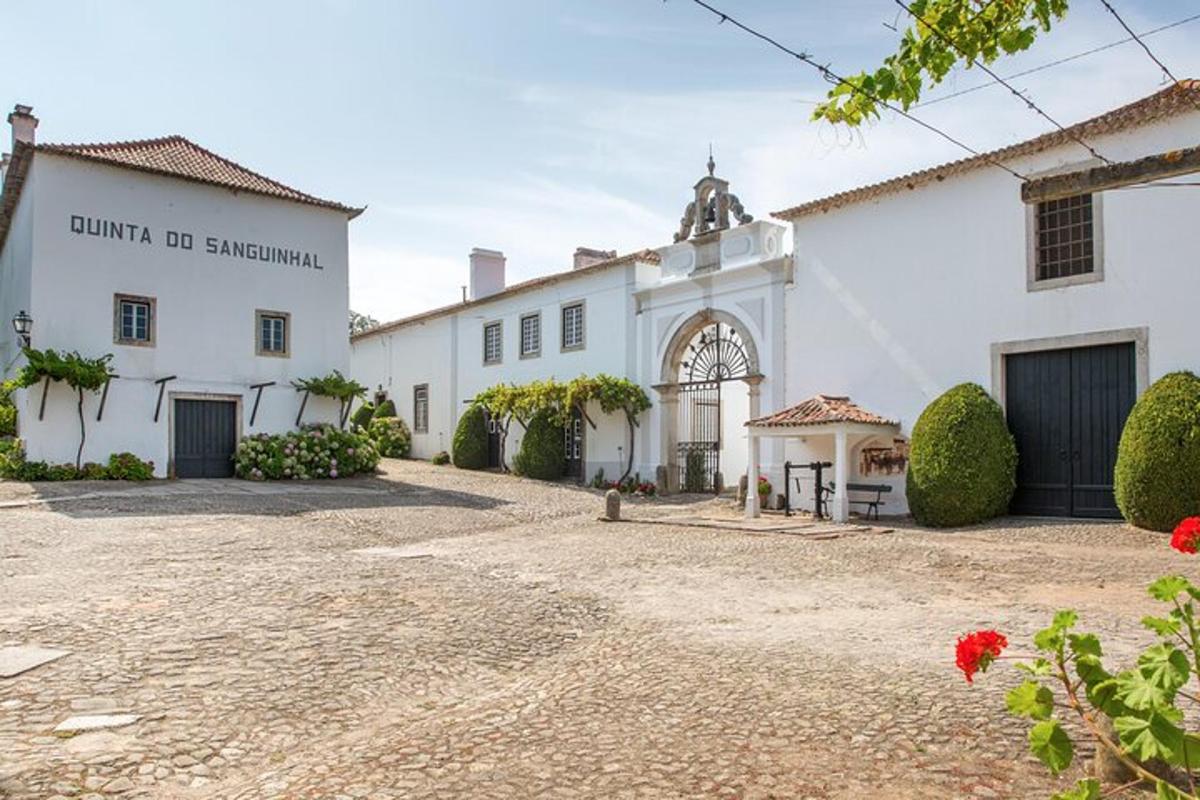 una vista esterna di un edificio bianco
