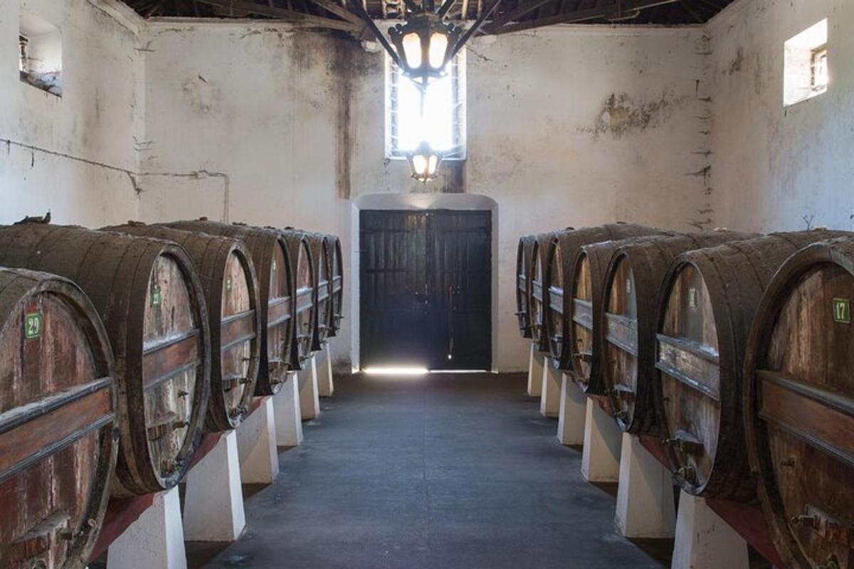una fila di botti di vino in una stanza con una porta
