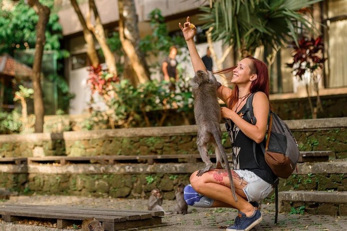 Una mujer está alimentando a un gato con un palo.
