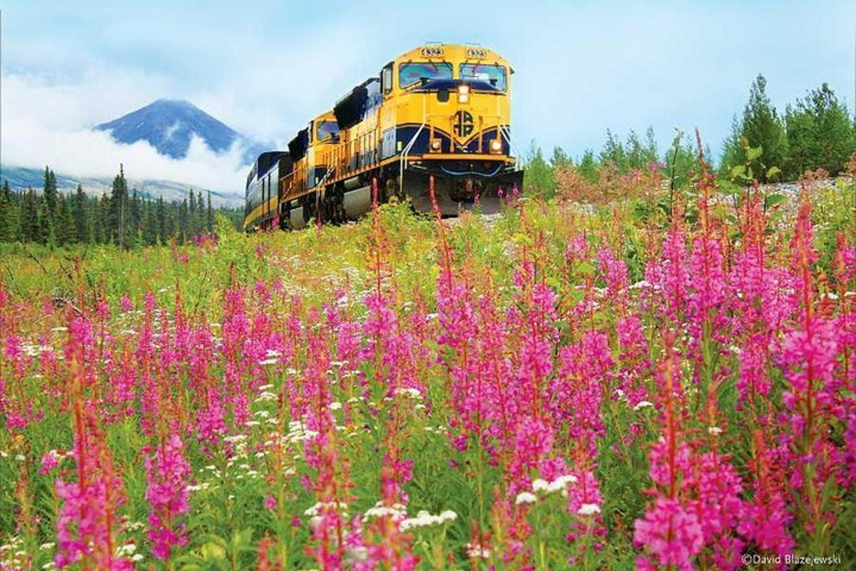 un tren groc que viatja per un camp de flors