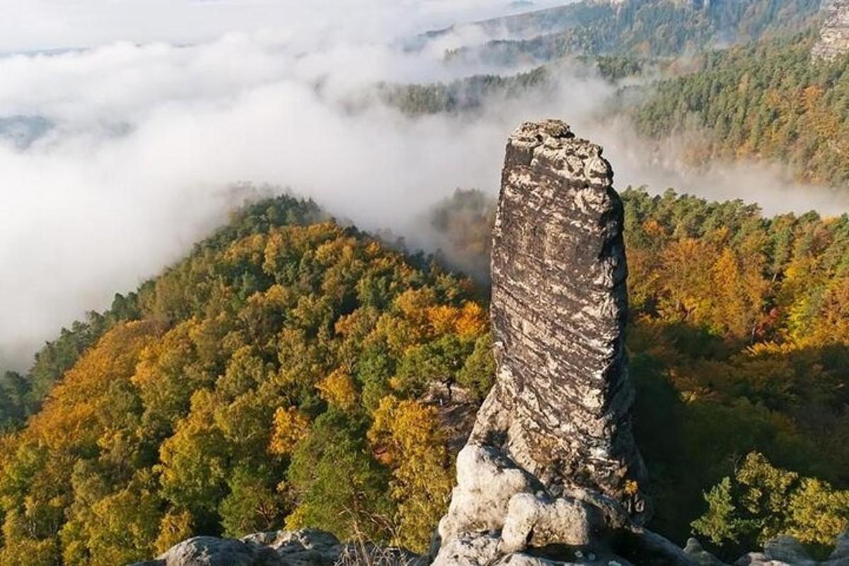 menara batu di atas gunung dengan hutan