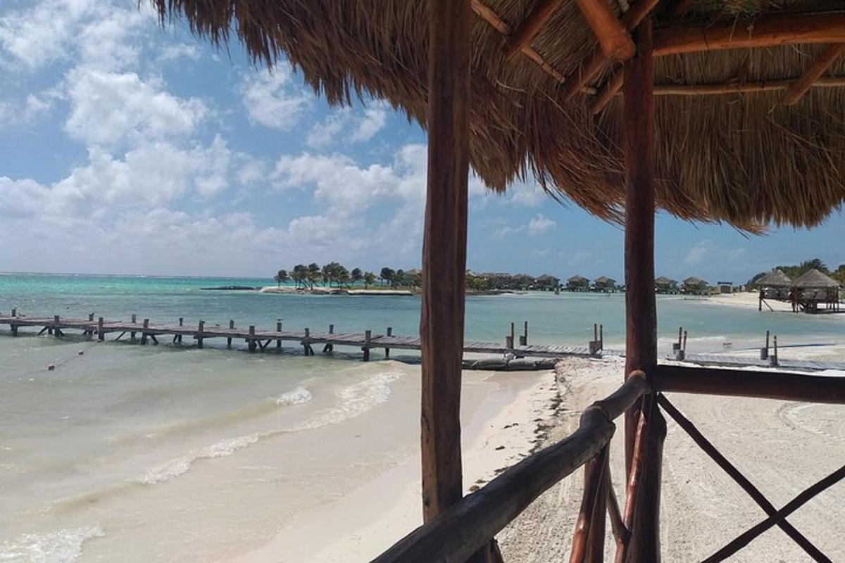 a beach with a straw umbrella and the ocean