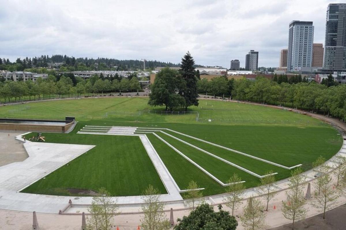 velký park se zelenou trávou a městem