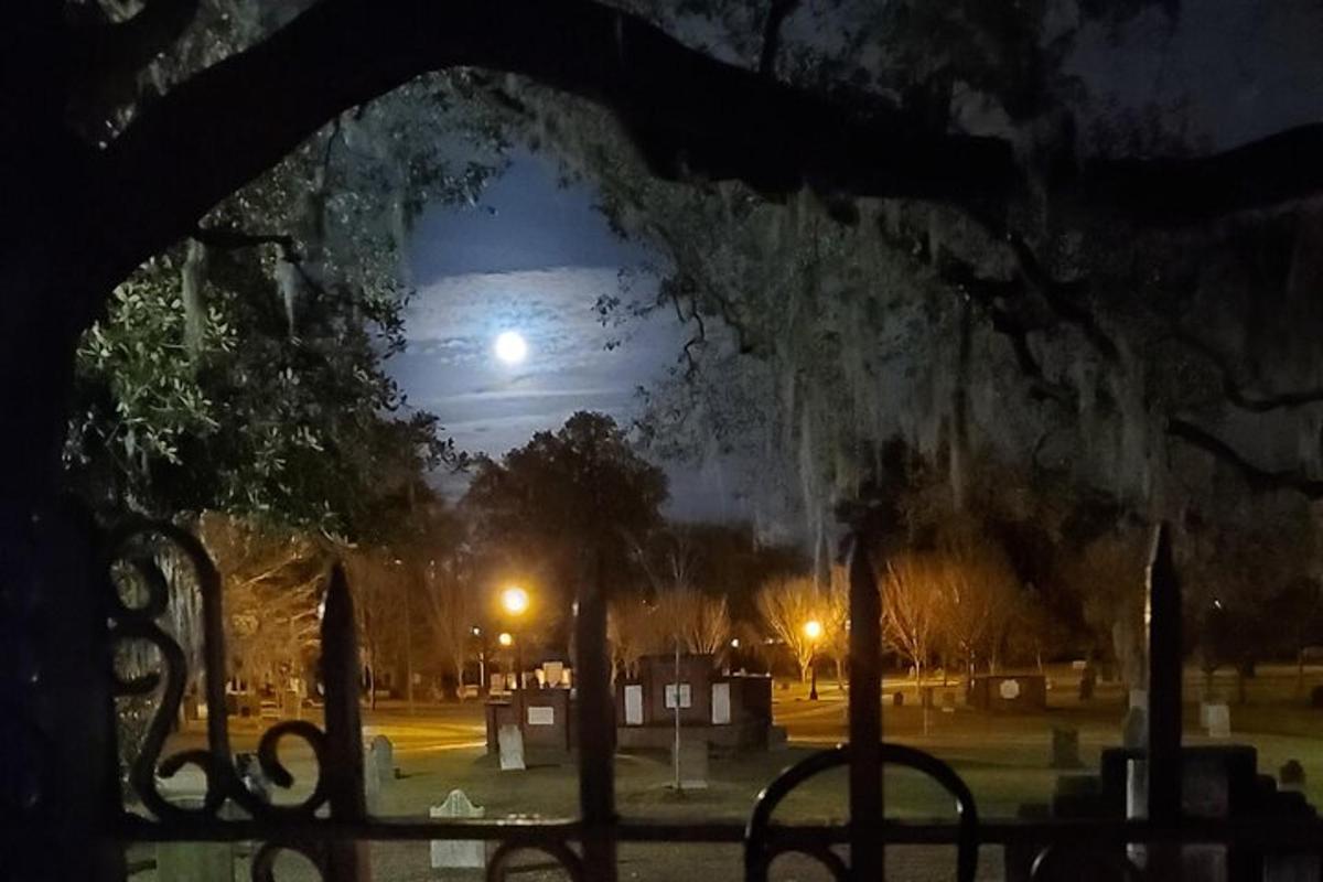 a view of a park at night with a full moon
