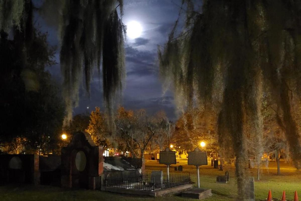 a park at night with a full moon
