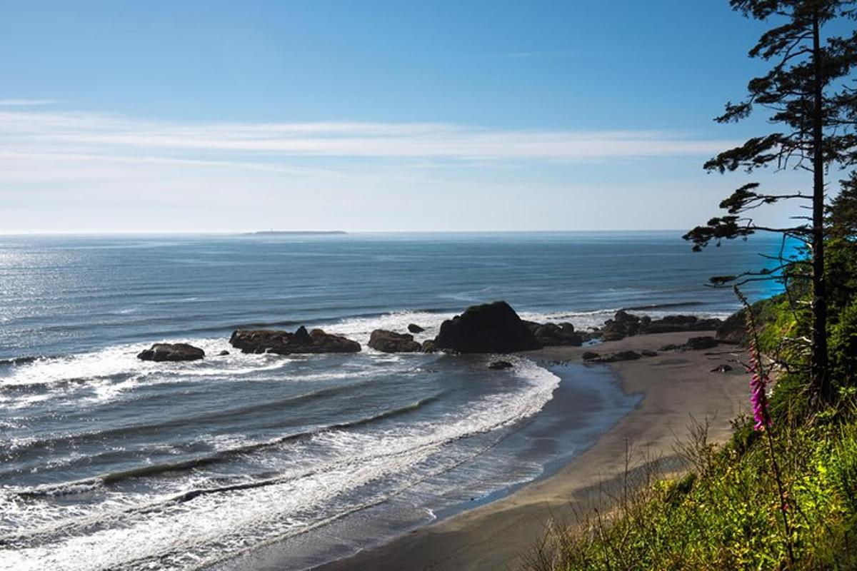 a beach with rocks and the ocean on a sunny day