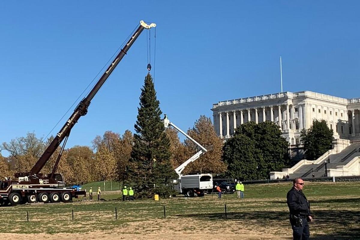 Kraana tõstab jõulupuud Lincolni ees