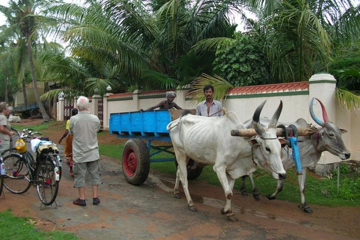 Foto 4 da atração