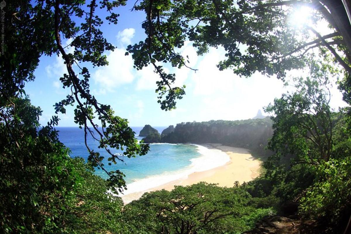 a view of a beach with the ocean and trees