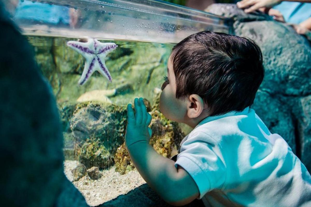 Lankytinos vietos ar pramogos nuotrauka numeris 7