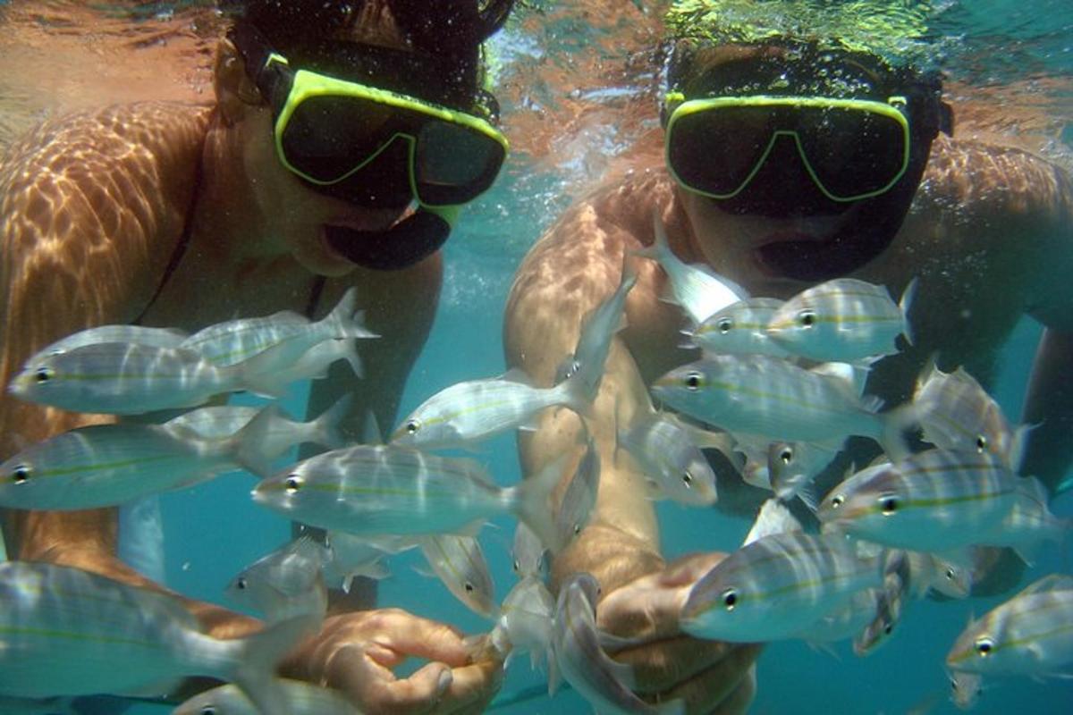 Lankytinos vietos ar pramogos nuotrauka numeris 1