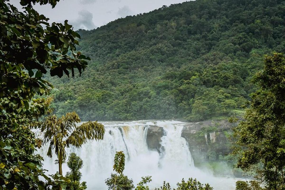 Fotografia da atração 2