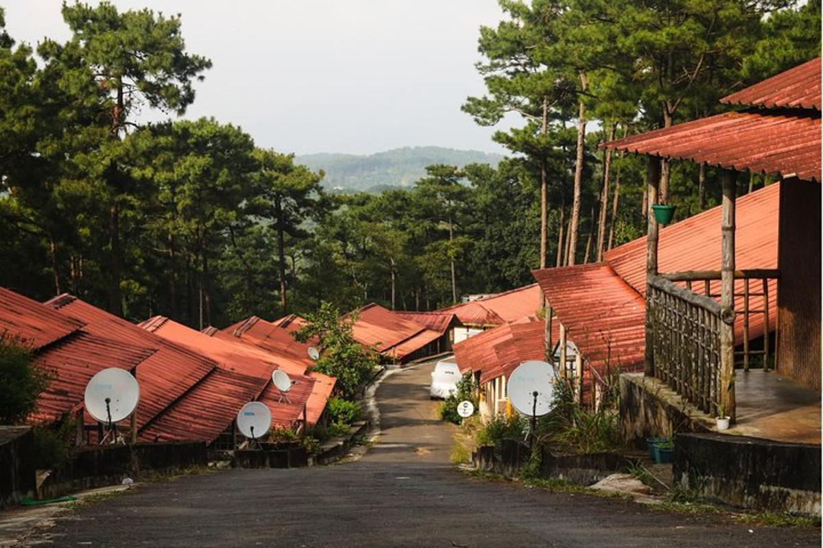 a group of houses with red roofs and a road