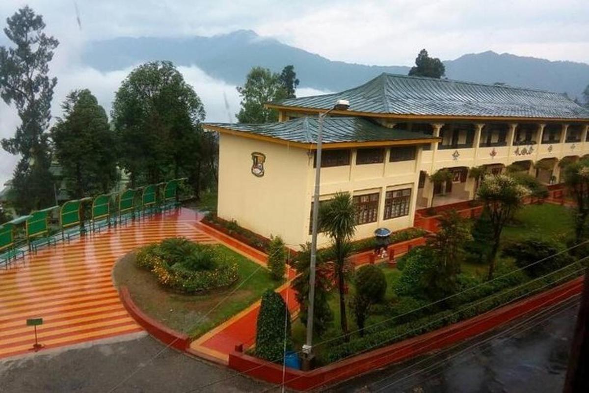 a house with a large yard with trees and plants