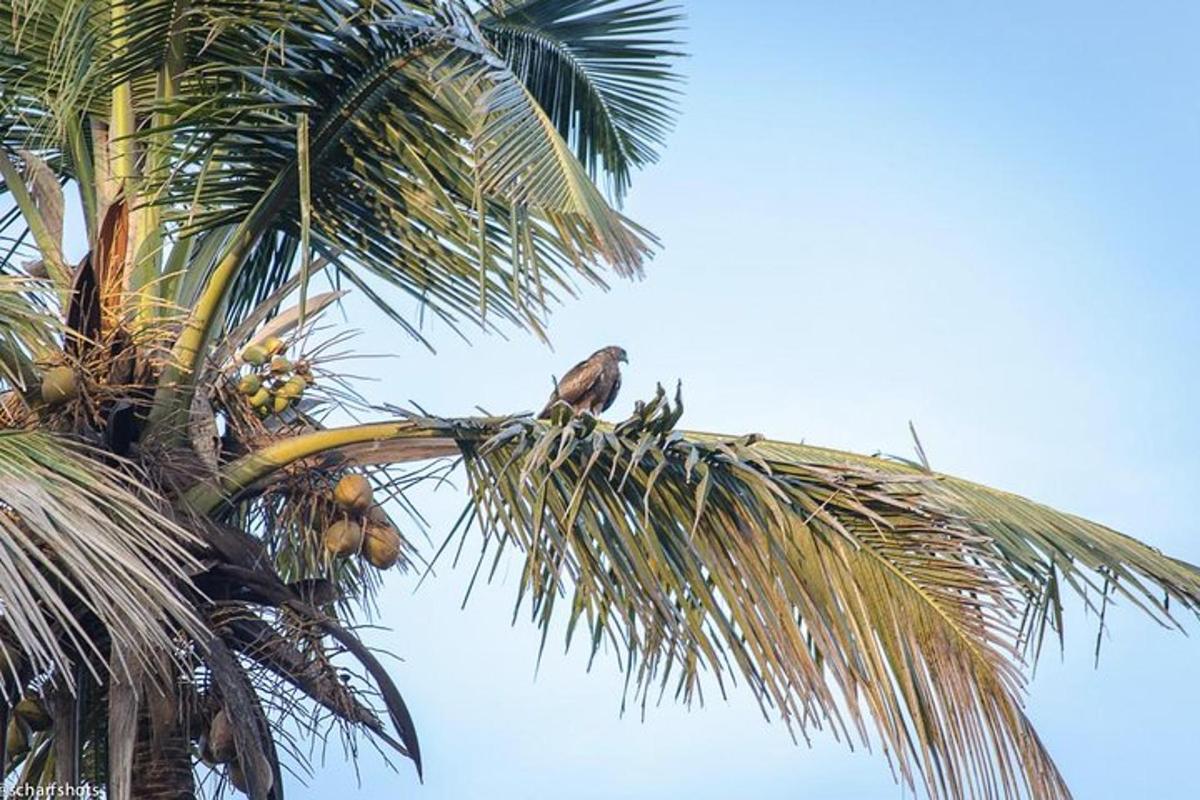 Lankytinos vietos ar pramogos nuotrauka numeris 3