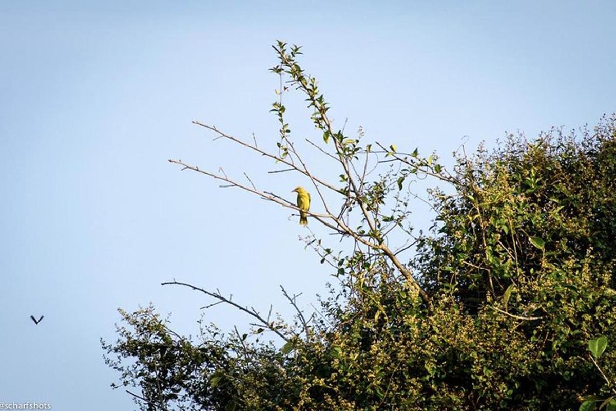 Fotografia da atração 6