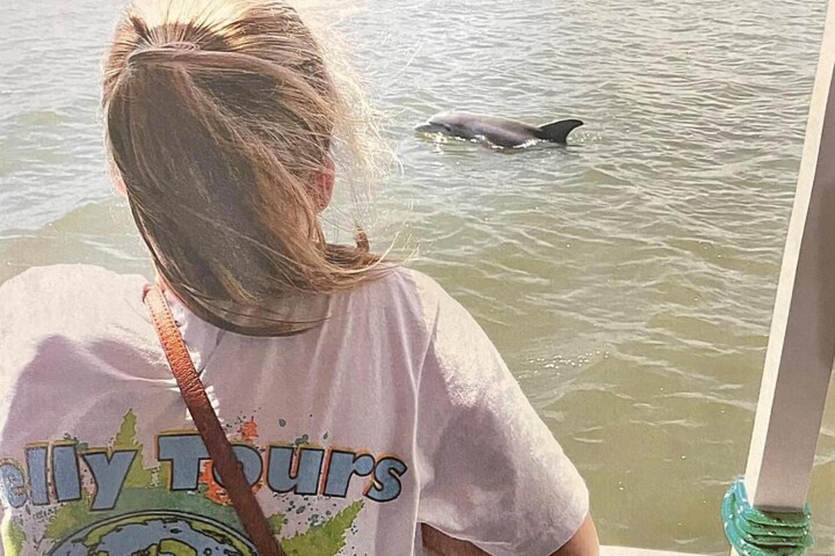 a young girl looking at a dolphin in the water