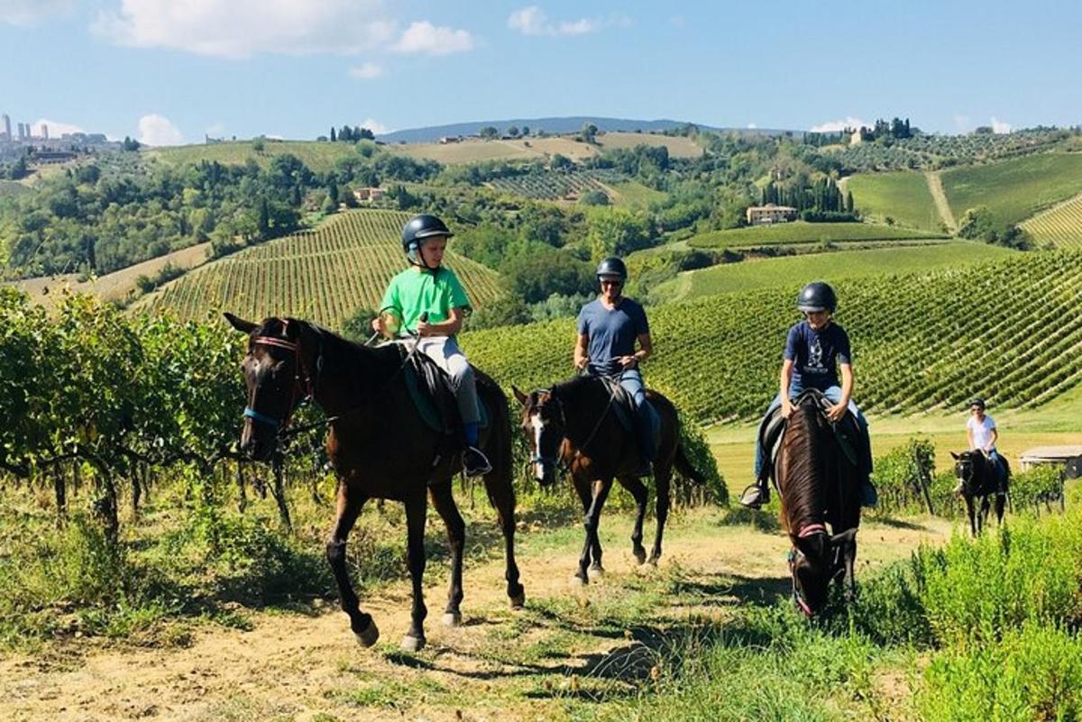 un gruppo di persone a cavallo su una collina