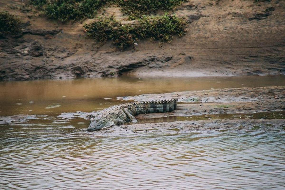 4 foto atraksi wisata