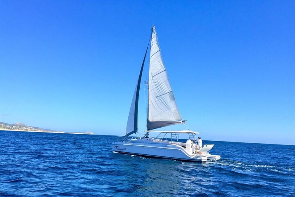 ein Boot mit einem Segel auf dem Wasser