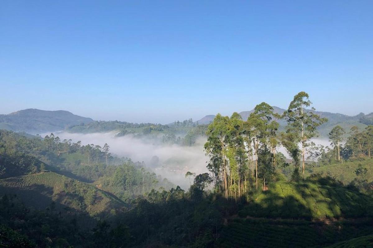 Fotografia da atração 4