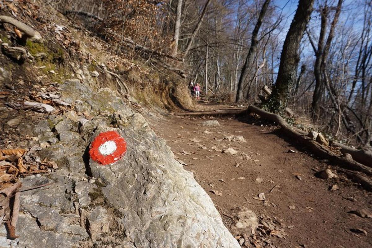 un senyal vermell en una roca en un camí de terra