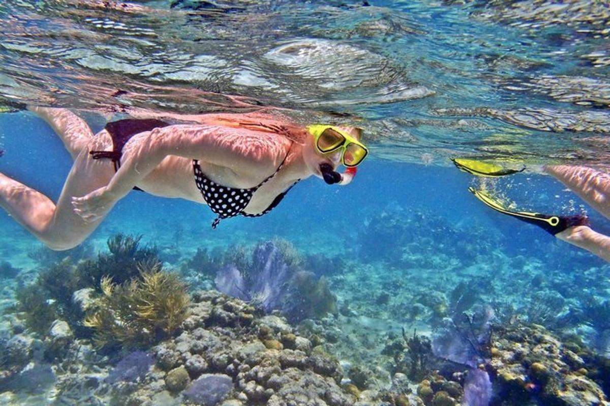una persona nadando en el agua con un pez