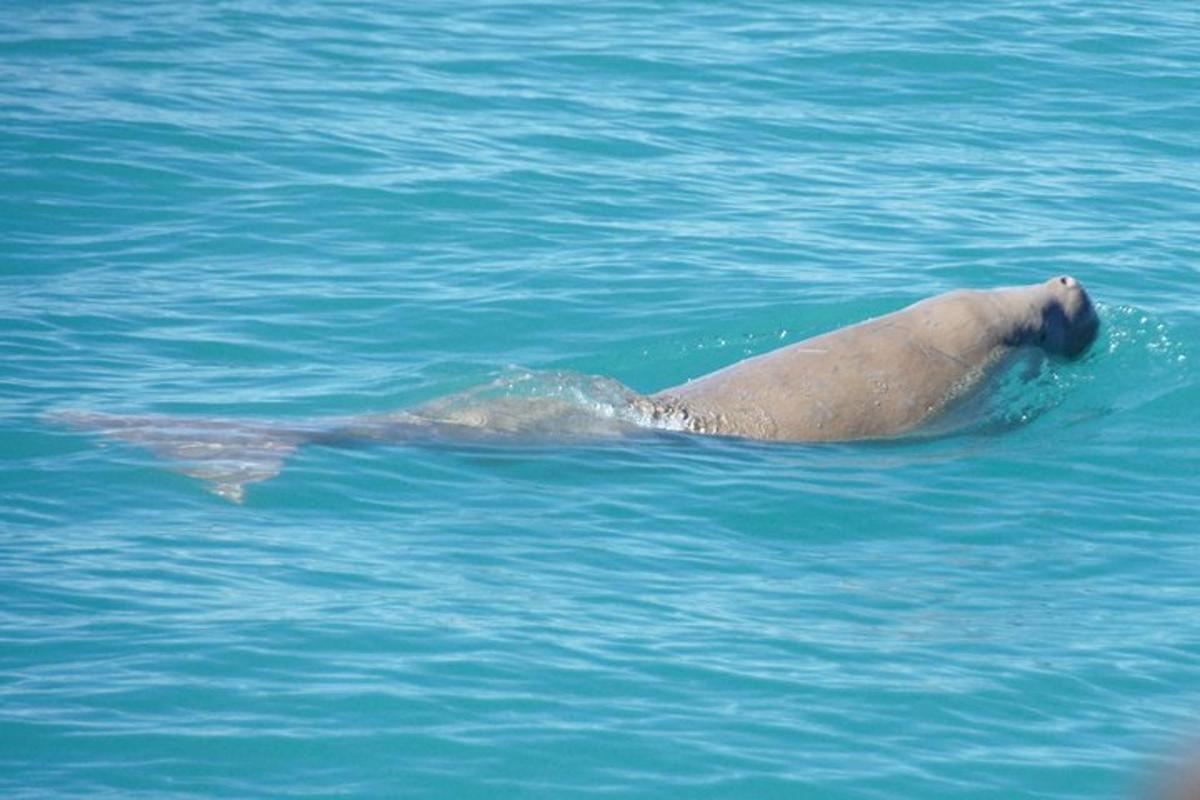 Lankytinos vietos ar pramogos nuotrauka numeris 5