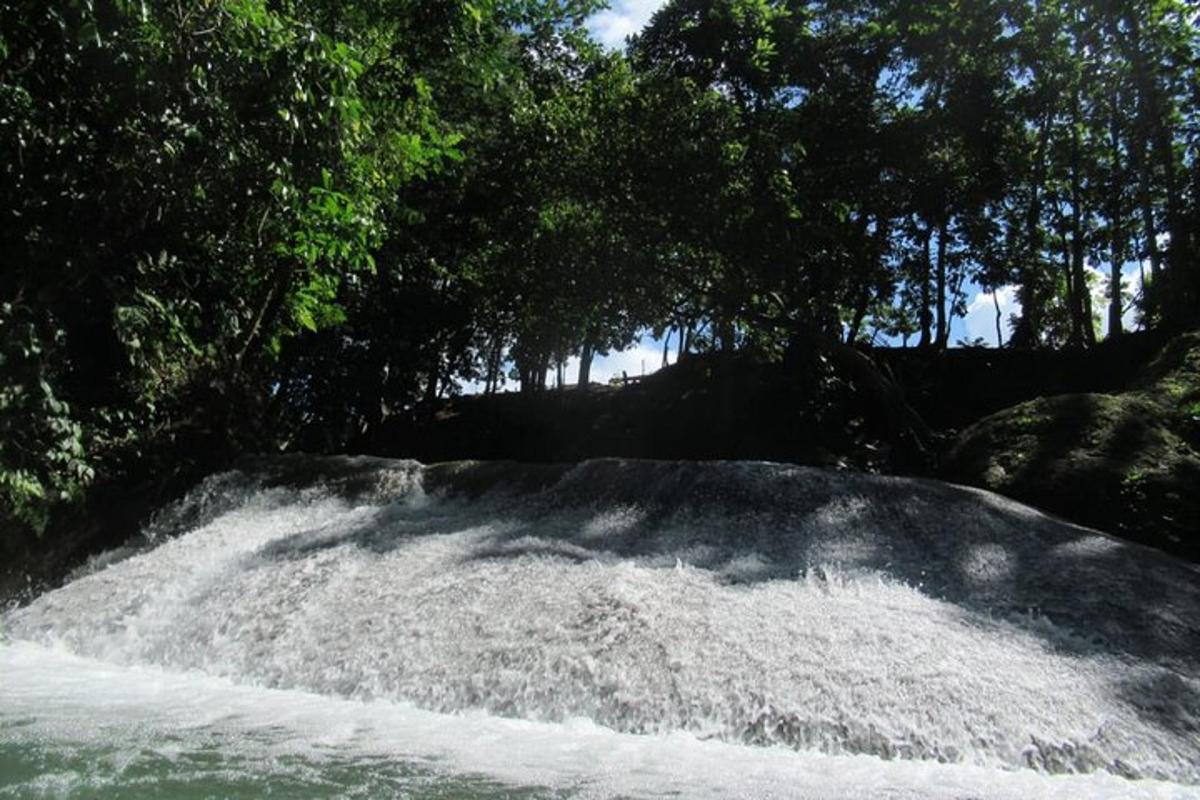 Una pequeña cascada en un río con árboles al fondo.