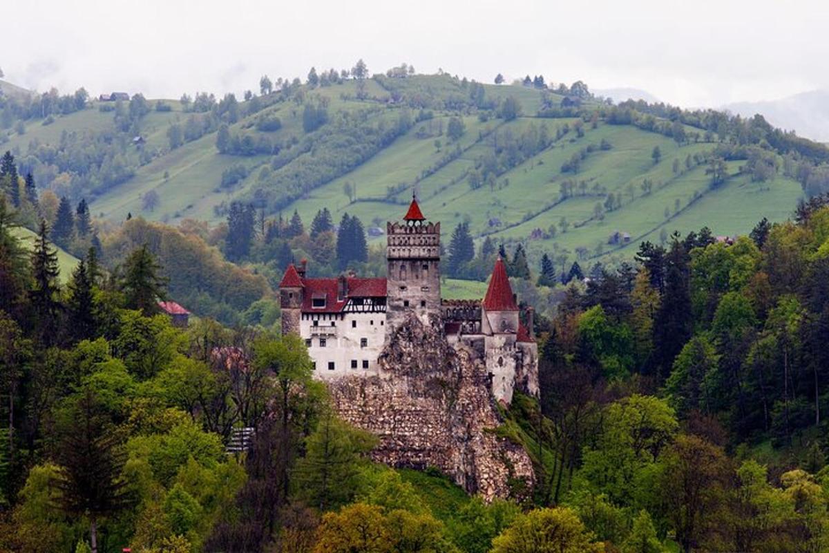 Fotografia 3 a atracției