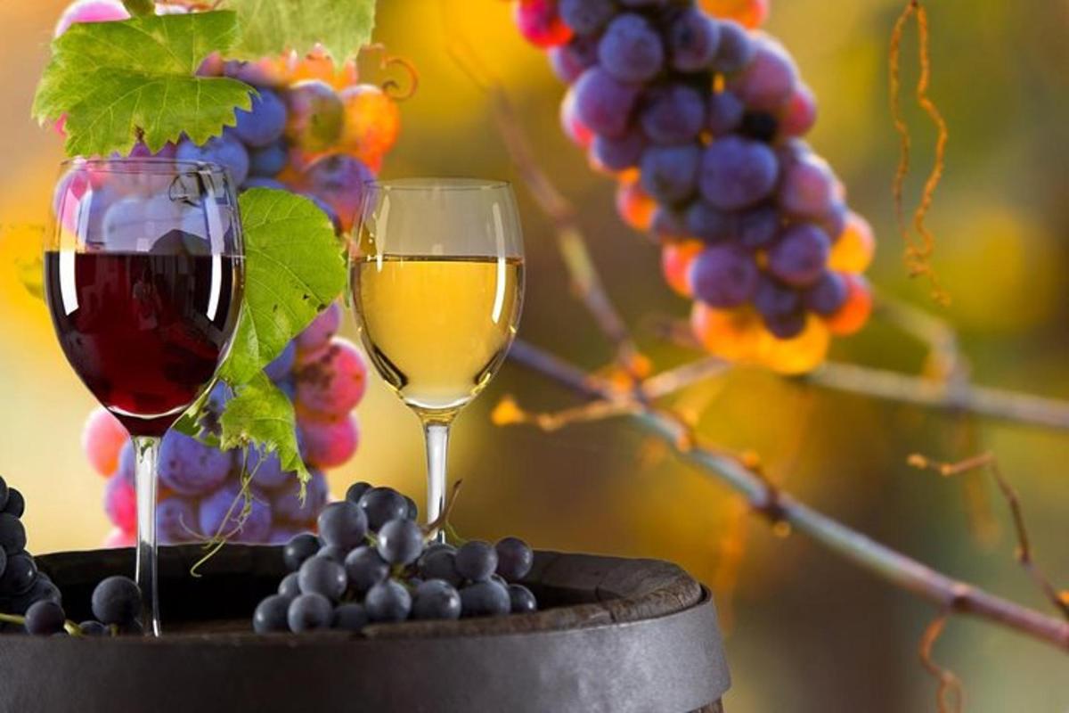 două pahare de vin lângă un ciorchine de struguri