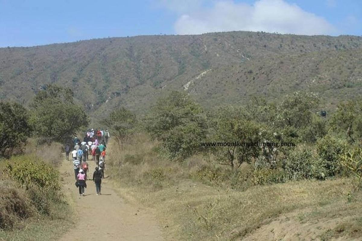un grup de persones caminant per un camí de terra