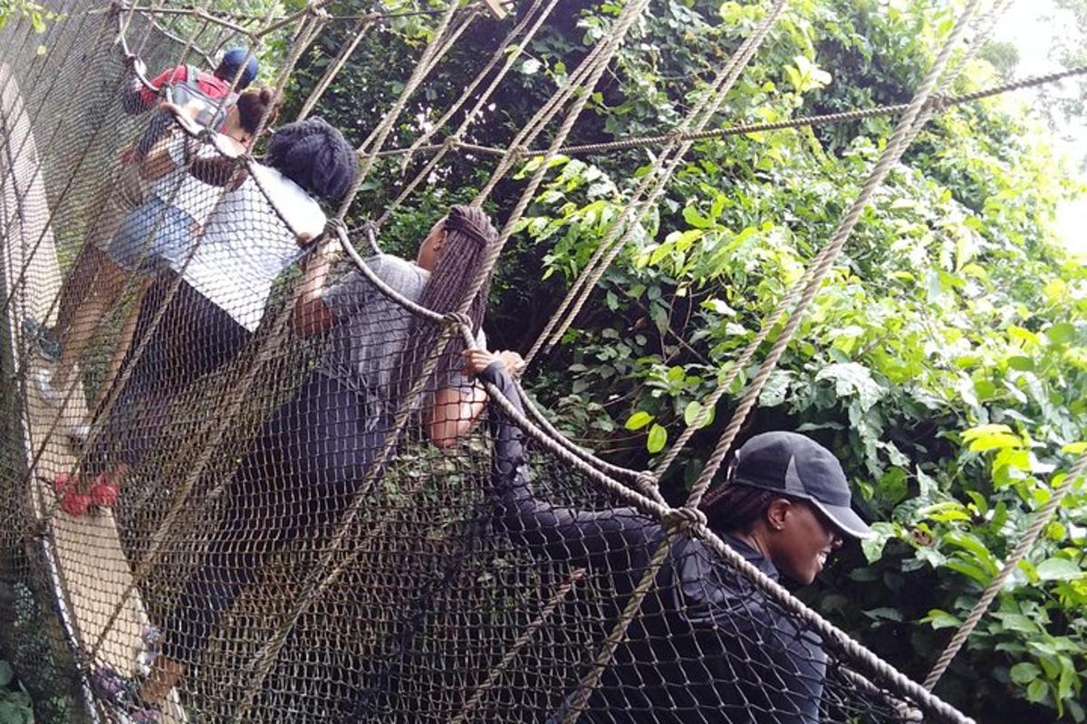 un gruppo di persone che camminano attraverso una rete