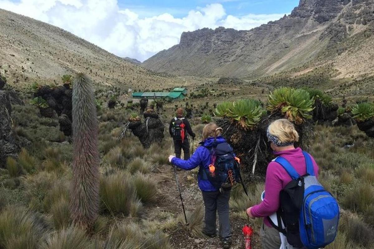 a group of people walking on a trail in the mountains