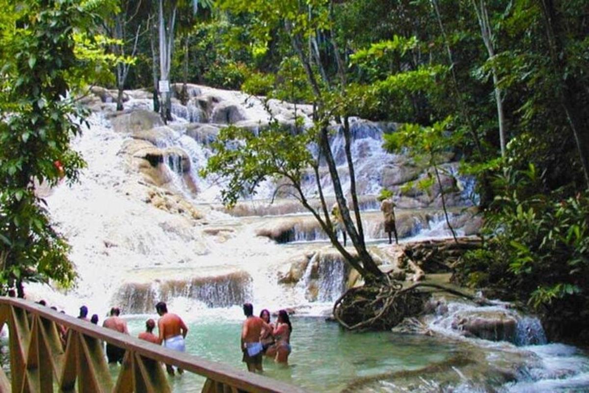 Un grupo de personas de pie en el agua en una cascada.