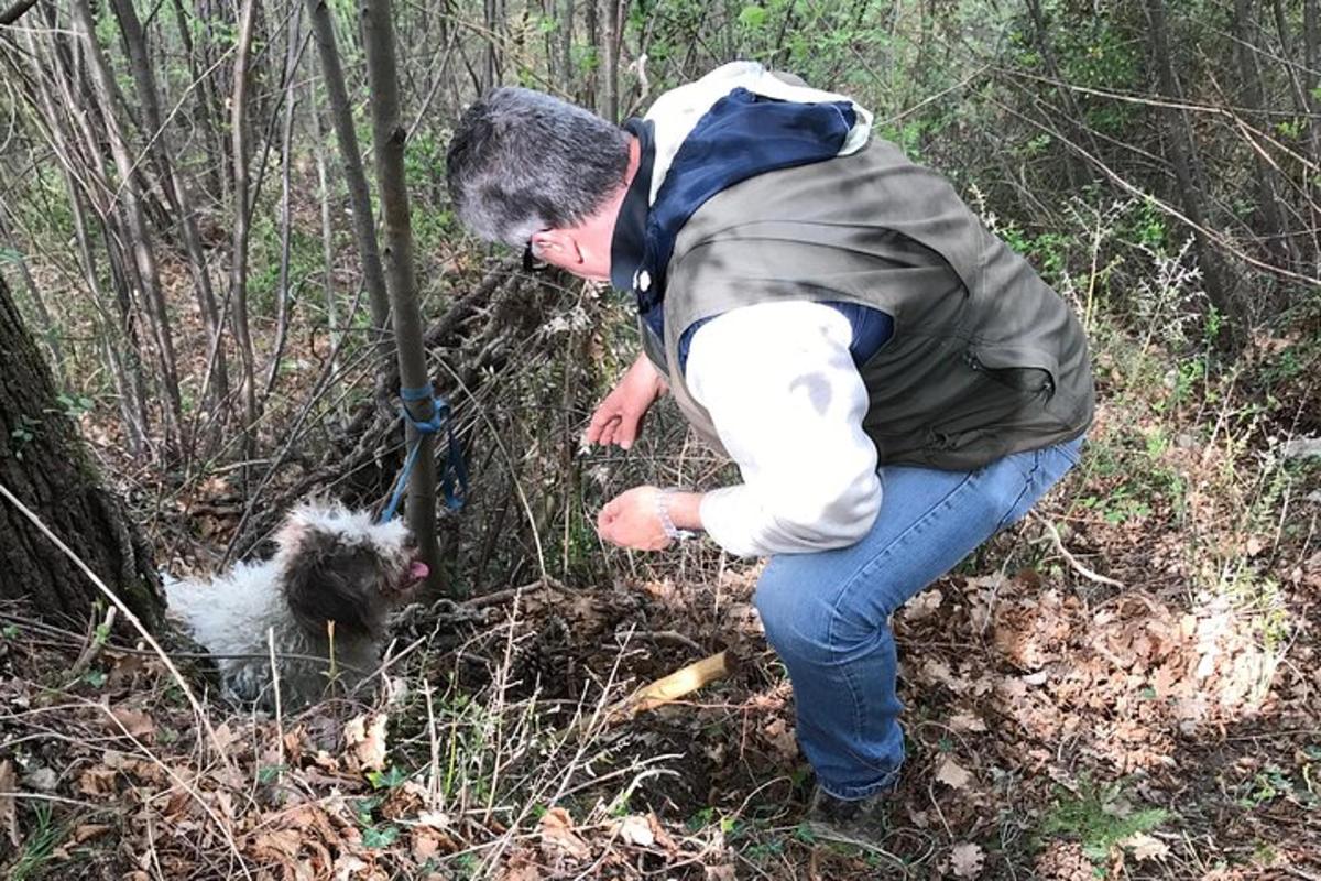 en man som böjer sig ner för att klappa en hund i skogen