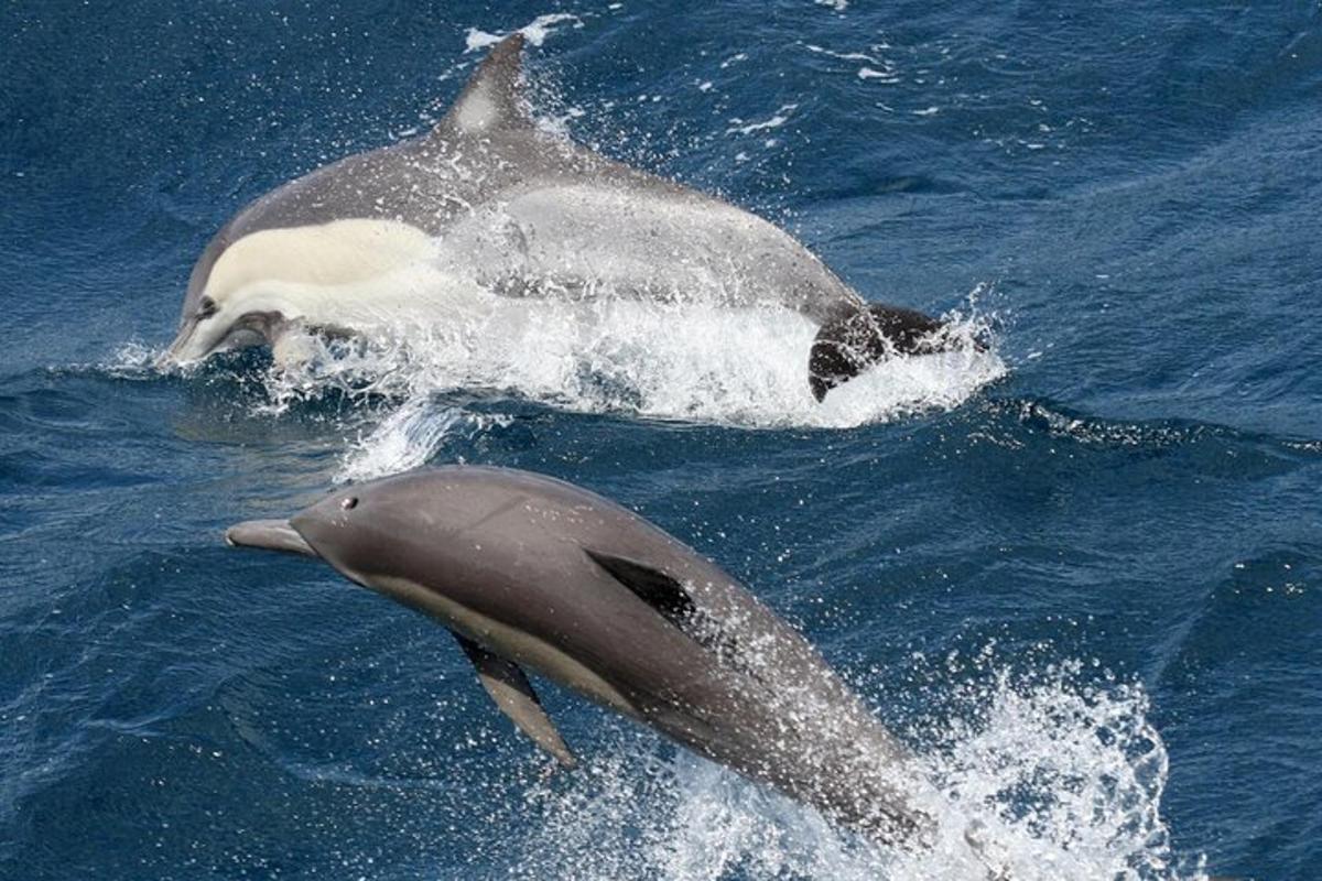 Lankytinos vietos ar pramogos nuotrauka numeris 6