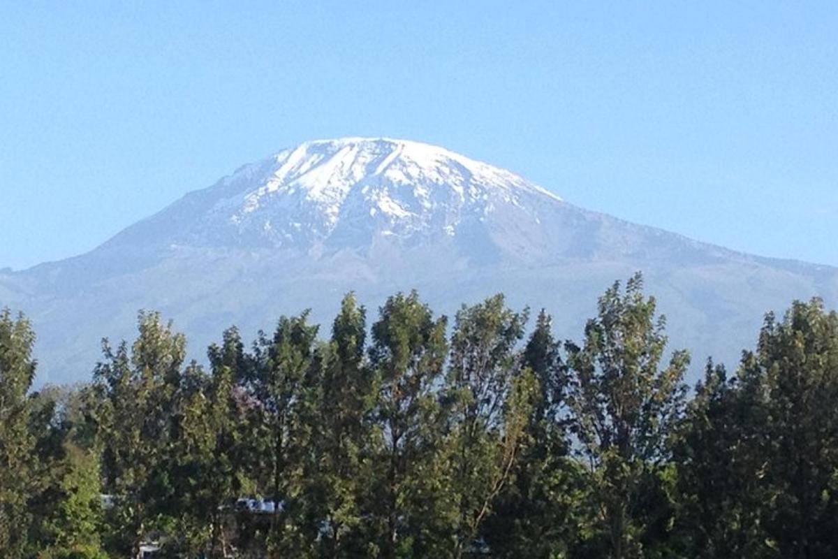 isang bundok na natatakpan ng niyebe na may mga puno sa harap nito