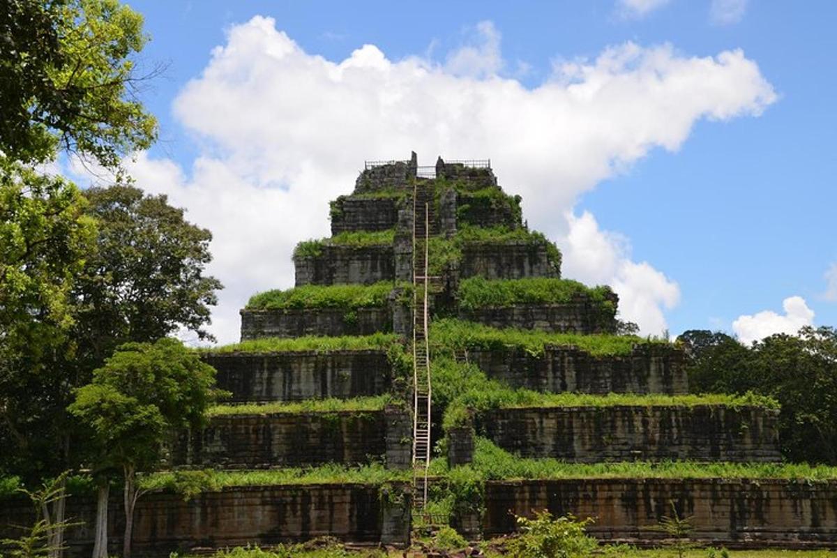 un edifici cobert d'heura amb una escala