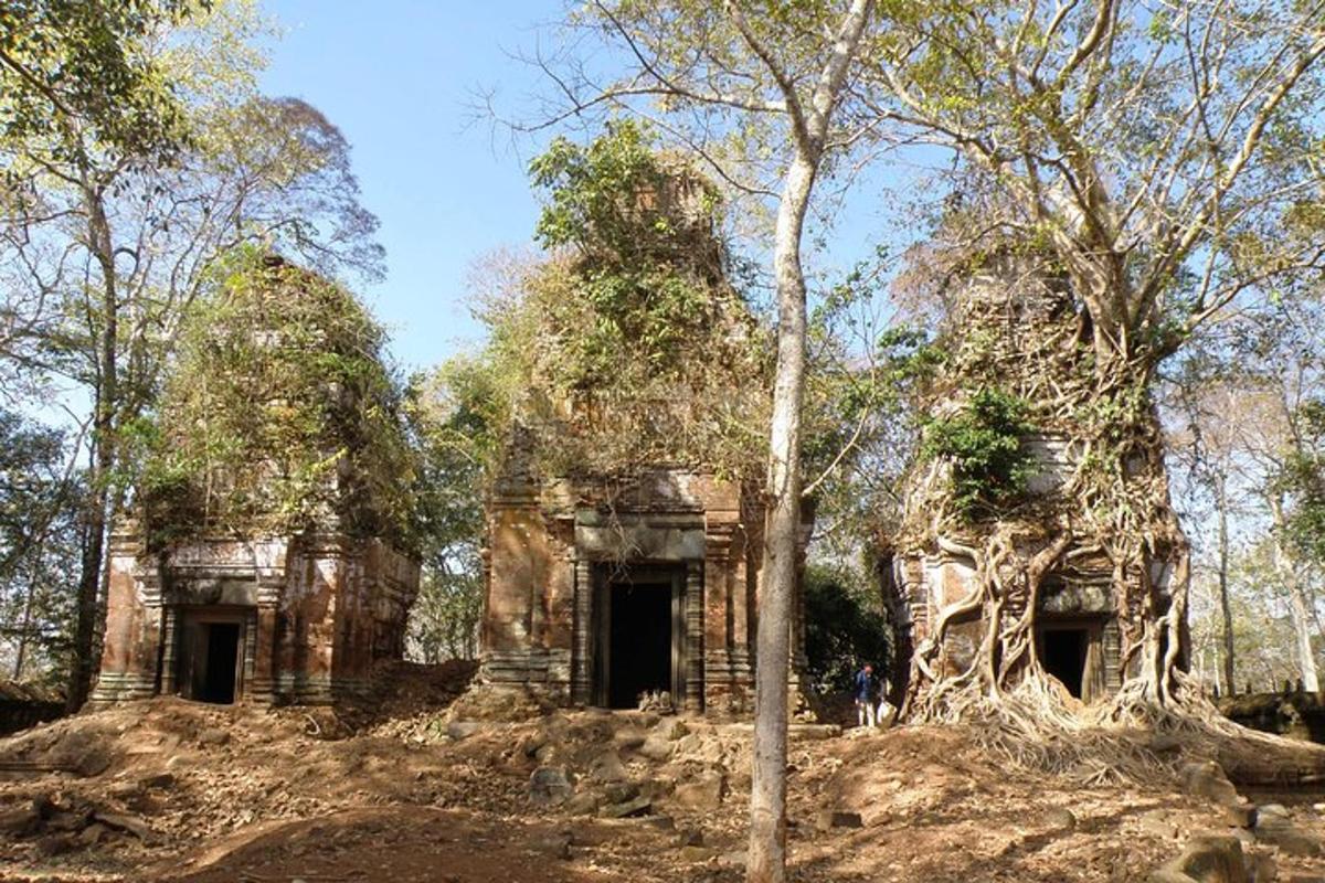 un edifici antic al mig del bosc