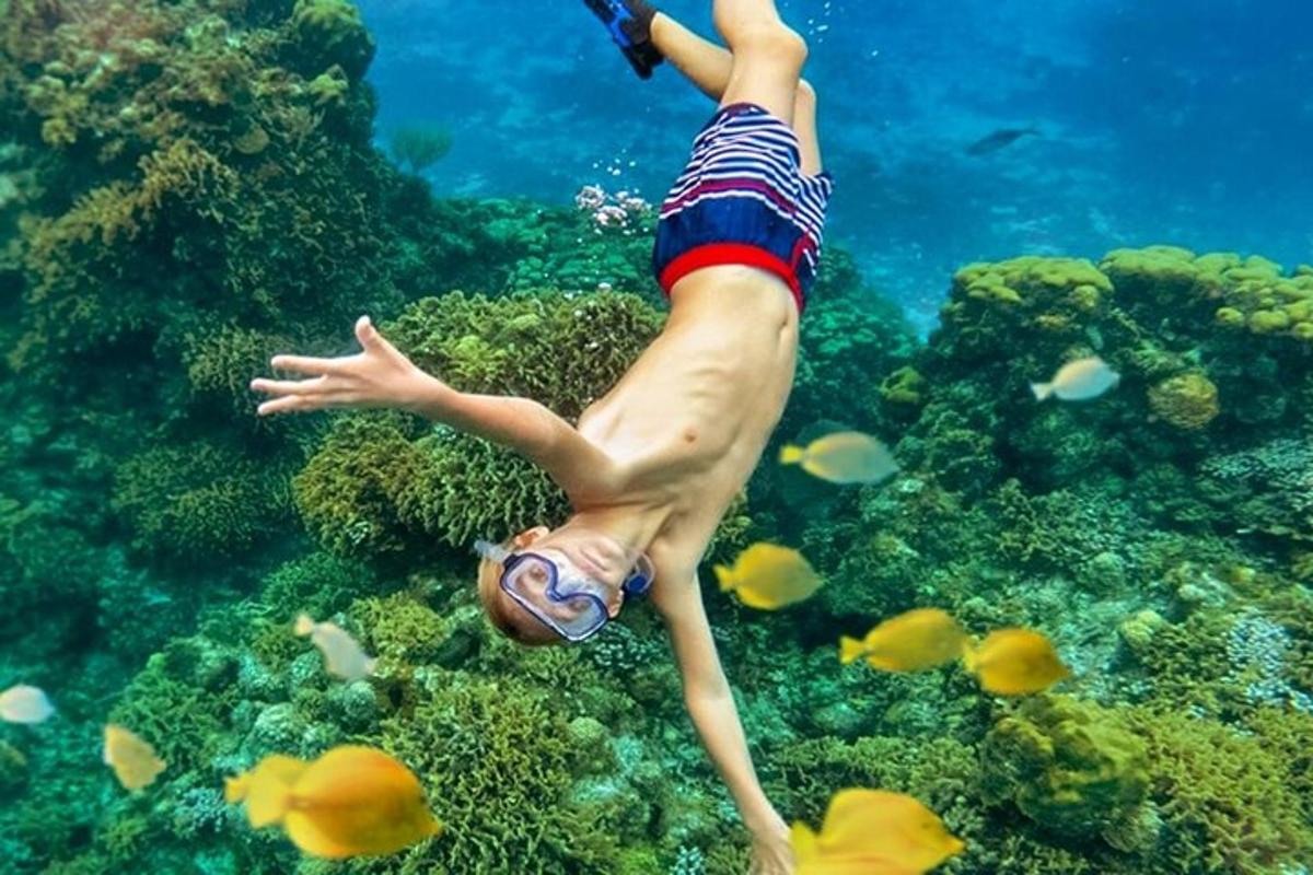ang isang tao ay lumalangoy sa karagatan kasama ang mga isda