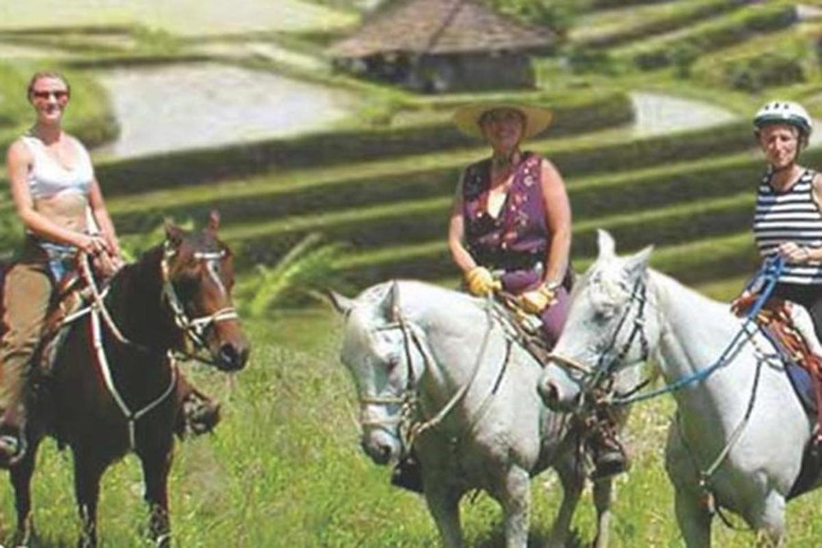 a group of people riding horses in a field