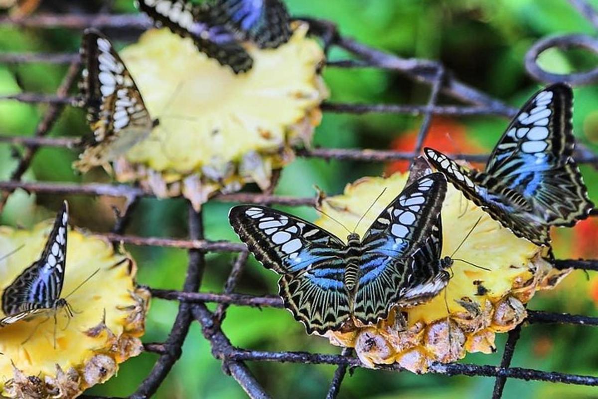 3 foto atraksi wisata