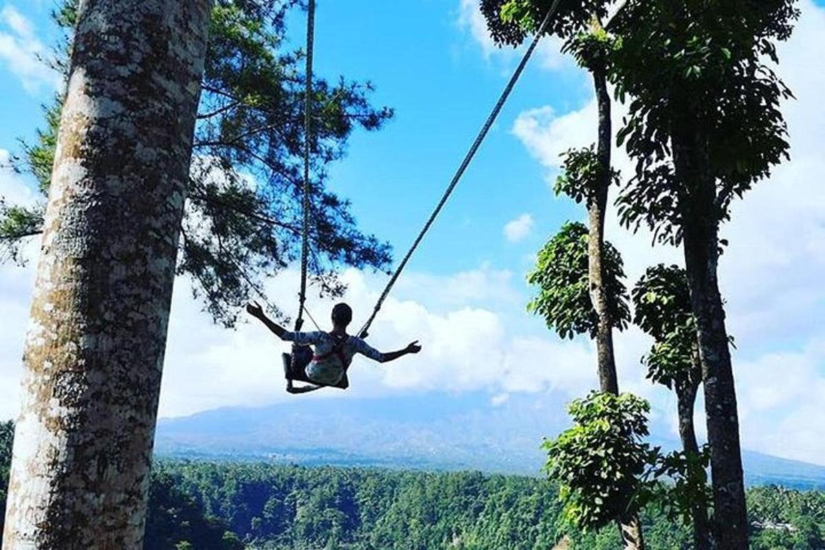 un home que es balanceja en un gronxador de corda entre dos arbres