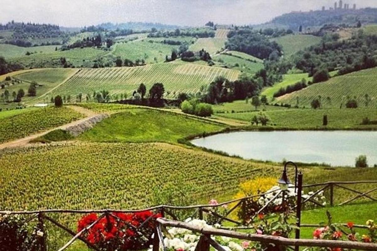 pohled na zelené pole s jezerem