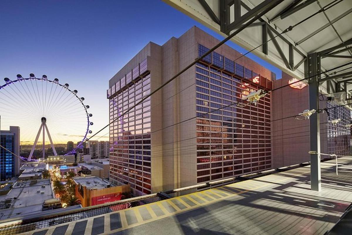 a view of a large building and a ferris wheel