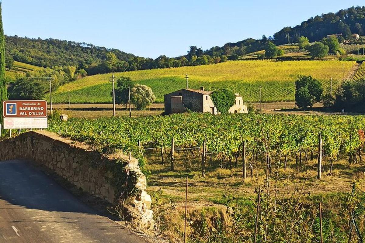 una carretera con un cartel junto a un campo de viñas